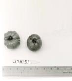 Click for 1 image(s) for this accession. FRUIT